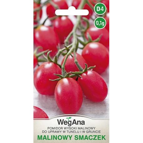 Pomidor malinowy Smaczek 0,1g Werbena