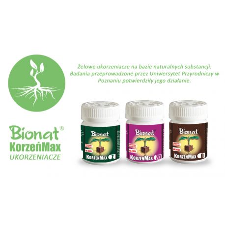Bionat- KorzeńMax Z 20ml zielone
