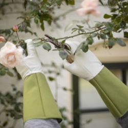 Rękawice do róż JB018 długie roz.L