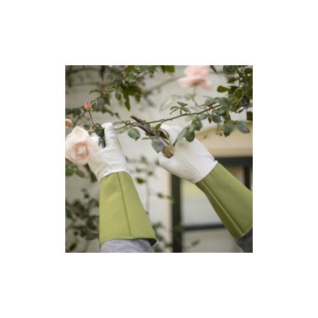 Rękawice do róż JB018 długie roz.L