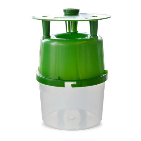 Pułapka na ćmę bukszpanową buxatrap