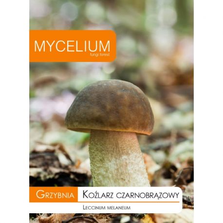 Grzybnia Koźlarz czarnobrązowy 10g