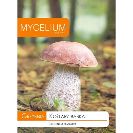 Grzybnia Koźlarz babka 15g