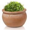 Donica gliniana Round Pot 28cm-16h