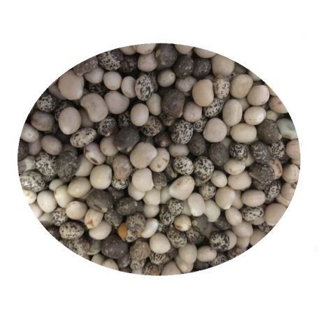 Fng- łubin wąskolistny oskar/ karo 1kg