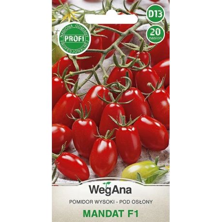 Pomidor pod osłony Mandat 20 nasion WegAna