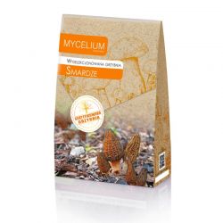 Grzybnia Smardze 120ml Mycelium