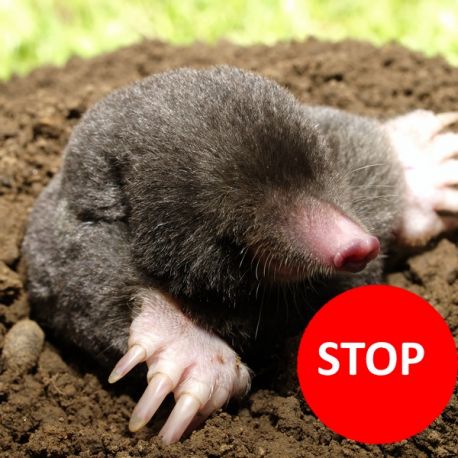 Siatka na krety 2m x 200m 400m2