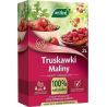 Nawóz eko do truskawek i malin 2l Westland