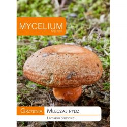 Grzybnia Mleczaj rydz 10g