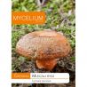 Grzybnia Mleczaj rydz 10g