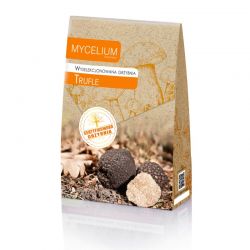 Grzybnia Trufle 120ml Mycelium