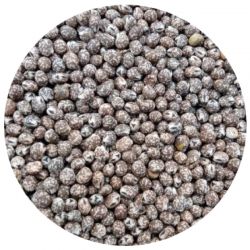 Agronas- Łubin wąskolistny słodki 1kg