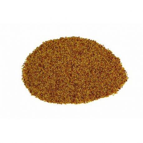 Agronas- Koniczyna biała Romena, Nemuniai 0,5kg