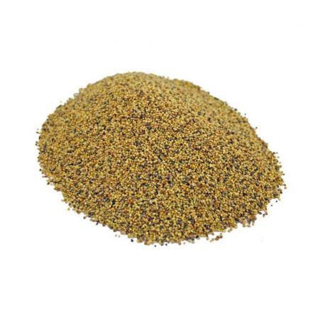 Agronas- Koniczyna łąkowa Rozeta, Viola 0,5kg