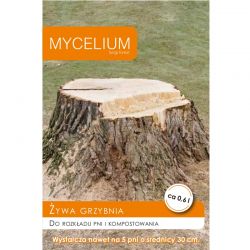 Grzybnia do rozkładu pni Mycelium 0,6L
