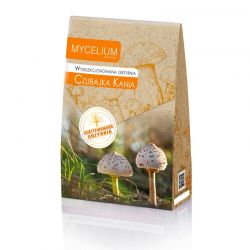 Grzybnia Czubajka Kania 60ml Mycelium